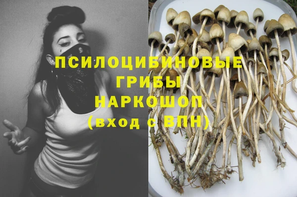 круглые Армянск